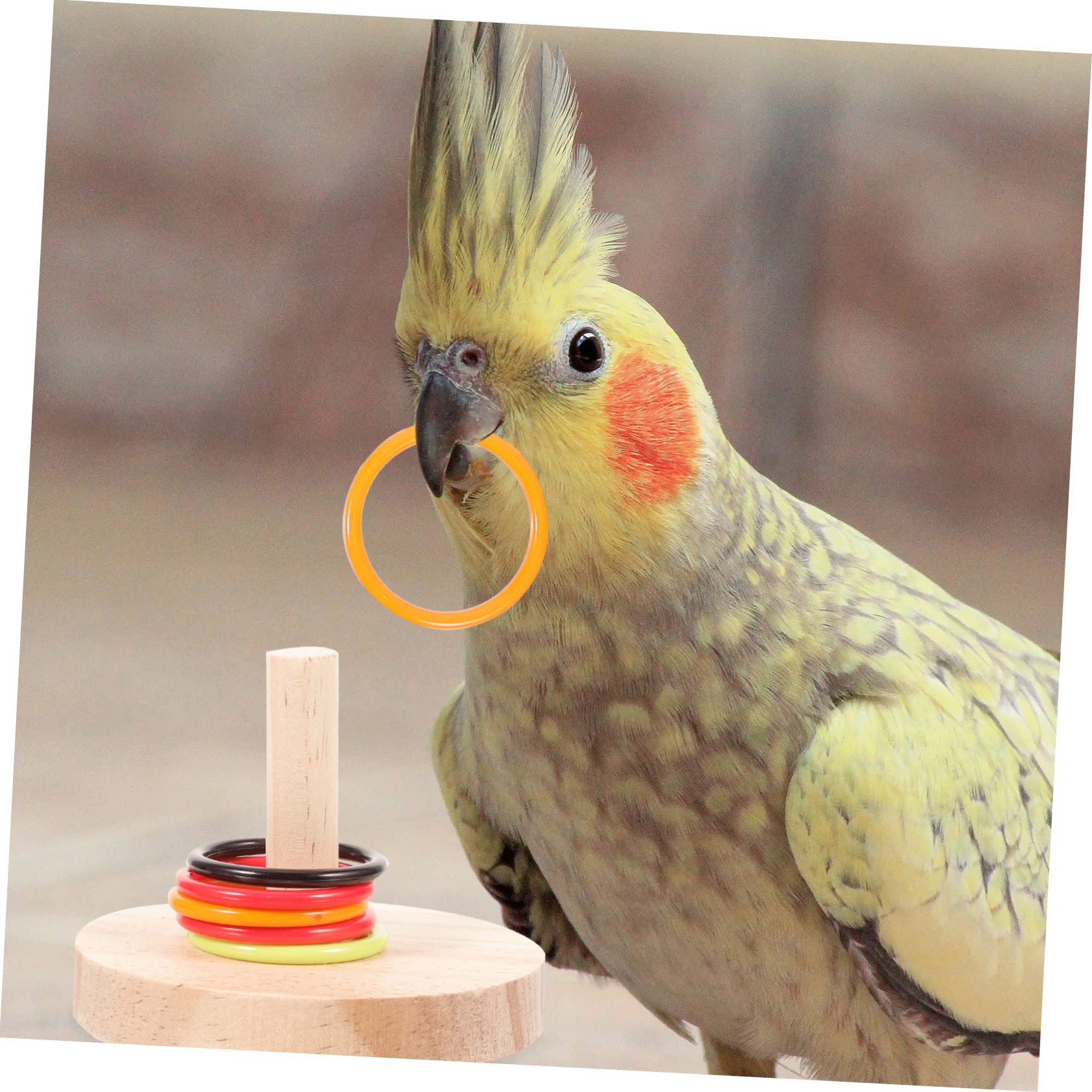 minkissy 8 Sets Papageienspielzeug Für Große Vögel Interaktives Rotierendes Sitzstangenspielzeug Vogelsittich-intelligenzspielzeug Vogel-lernspielzeug