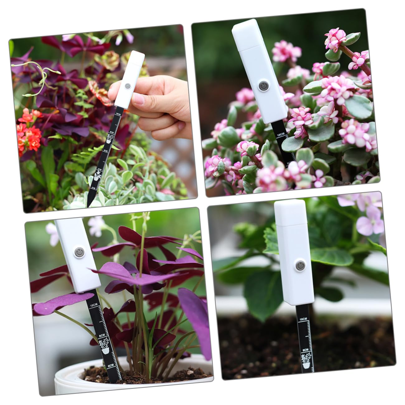 HEMOTON 5 Pièces Humidimètre pour Plantes Outil de Mesure Humidité Détection Précise pour Jardinage Intérieur et Extérieur et Compact pour Efficacité Plantation