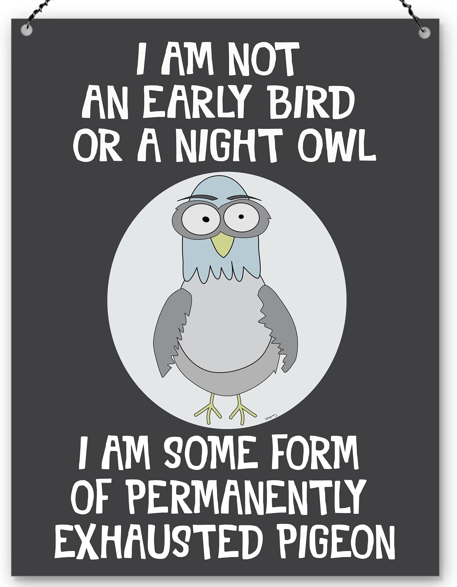 Dorothy Spring I am Not an Early Bird or a Night Owl I am Some Form of Permanently Exhausted Pigeon Sarcastic Funny Quote Metal Sign Wall Plaque Decoration15x20cm