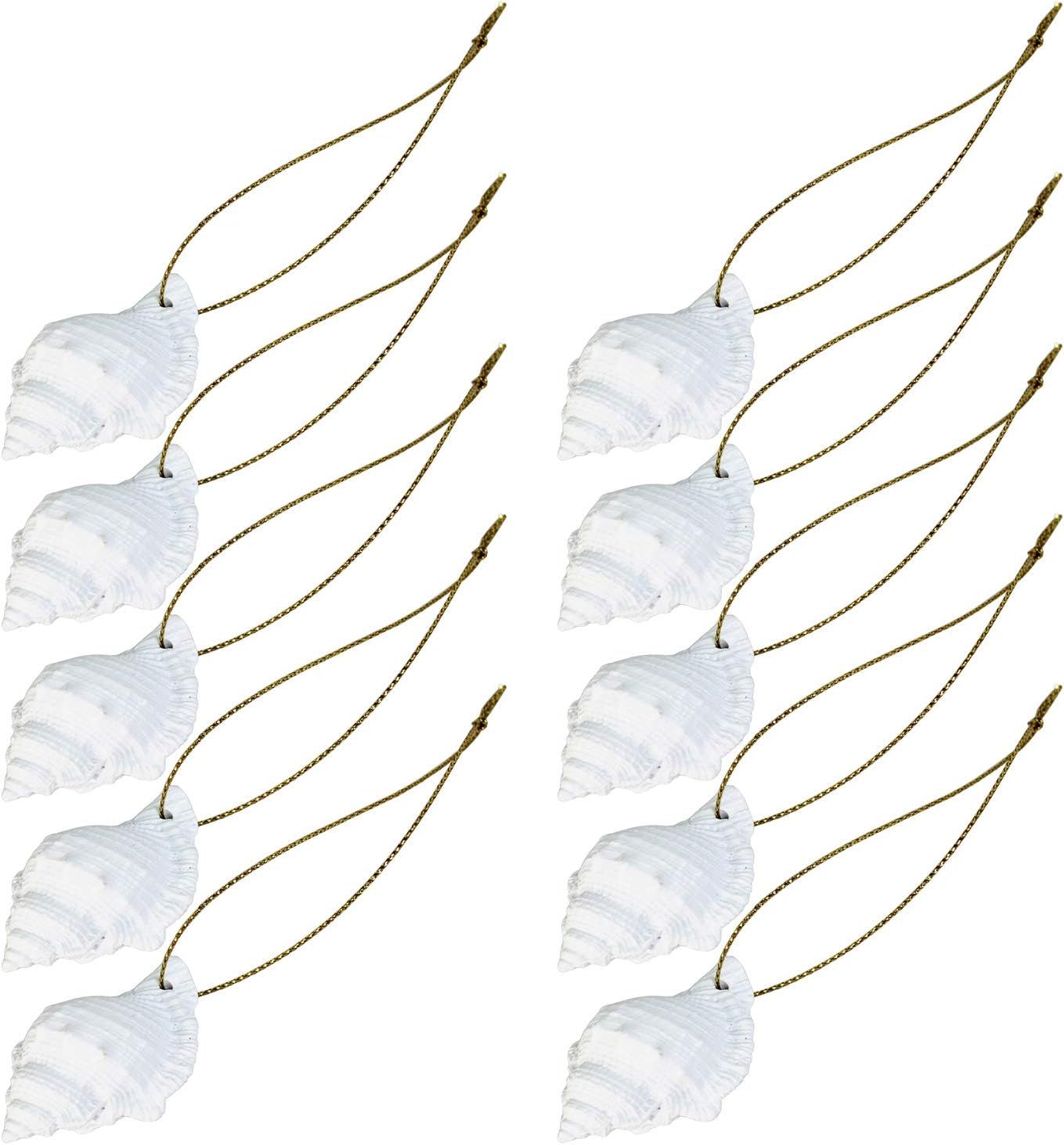 LJY10 Pieces White Resin Pencil Finger Conch with Rope for Christmas Tree Hanging Ornaments Beach Theme Wedding Home Decor DIY Craft Project