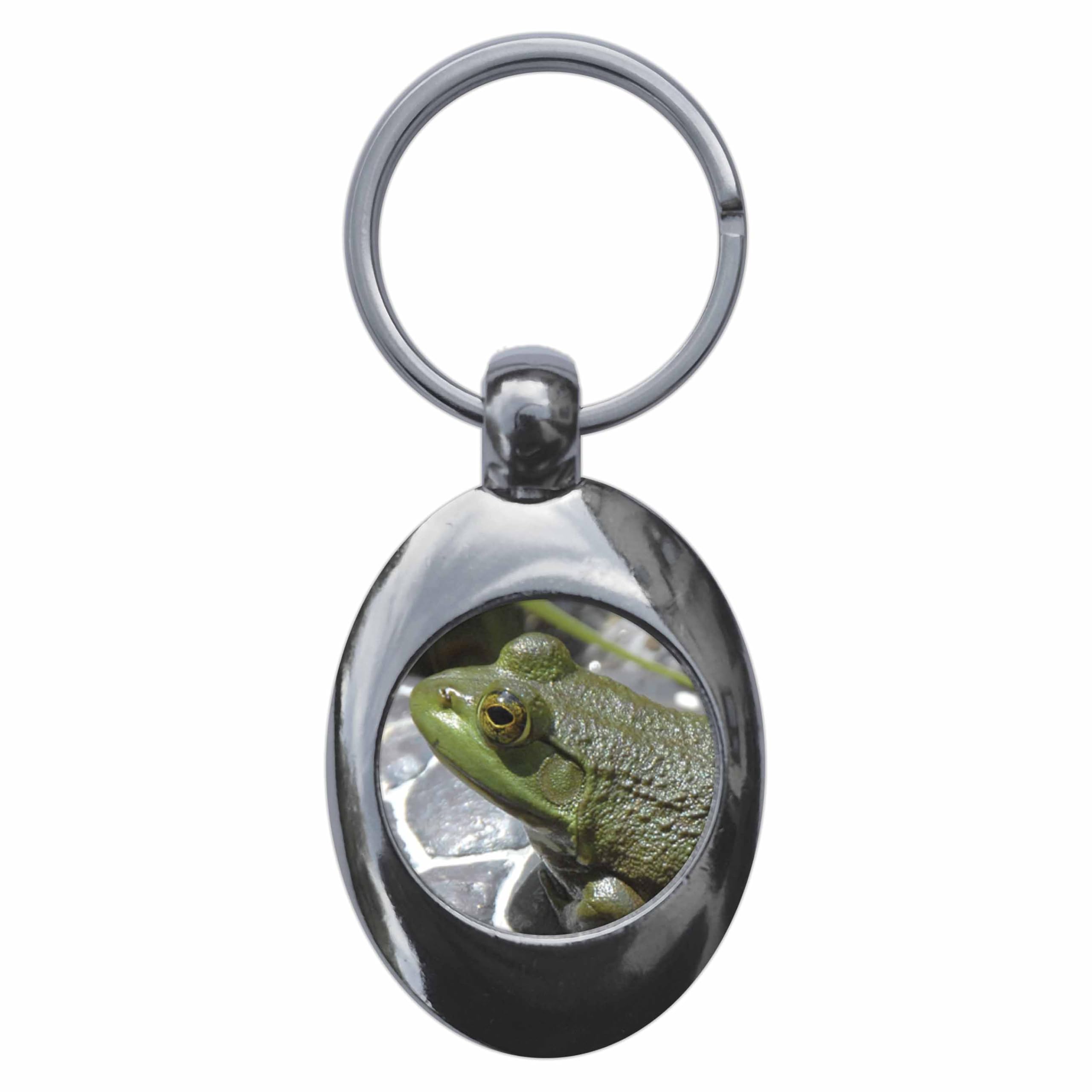 Ozorath Frog Keyring Keychain With Trolley Coin