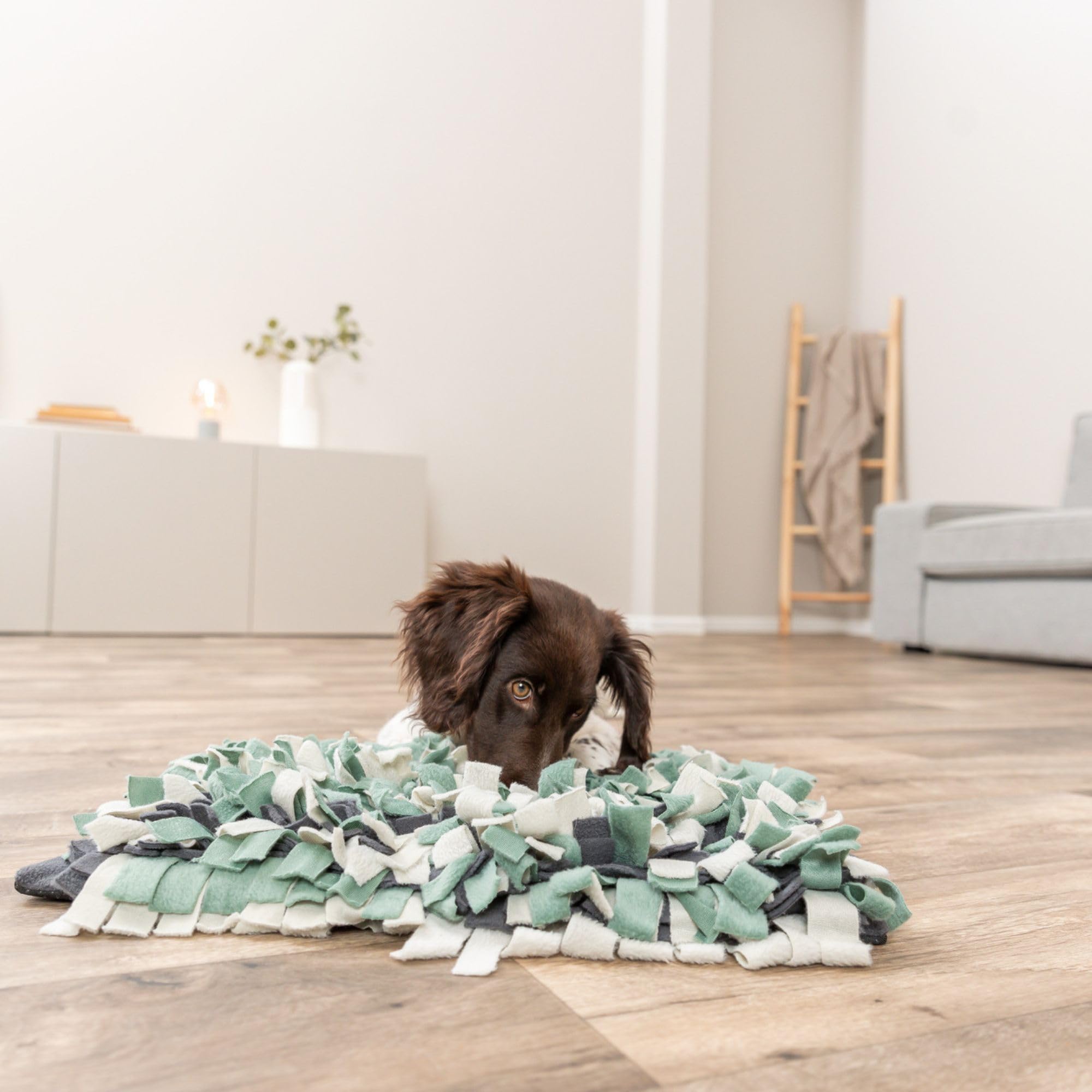 TRIXIE - Alfombra para Olfatear para Perros, Estimula el Sentido del Olfato, Ideal para Juegos Mentales, Entrenamiento y Diversión Canina