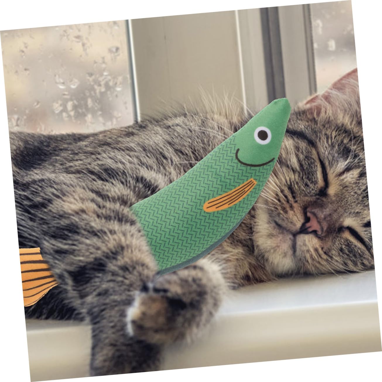 VANZACK 8pezzi Giocattoli Per Gatti Forma Di Pesce Giocattoli Catnip Interattivi Per Masticare e Divertimento Perfetti Per Gatti Indoor Resistente e Sicuro