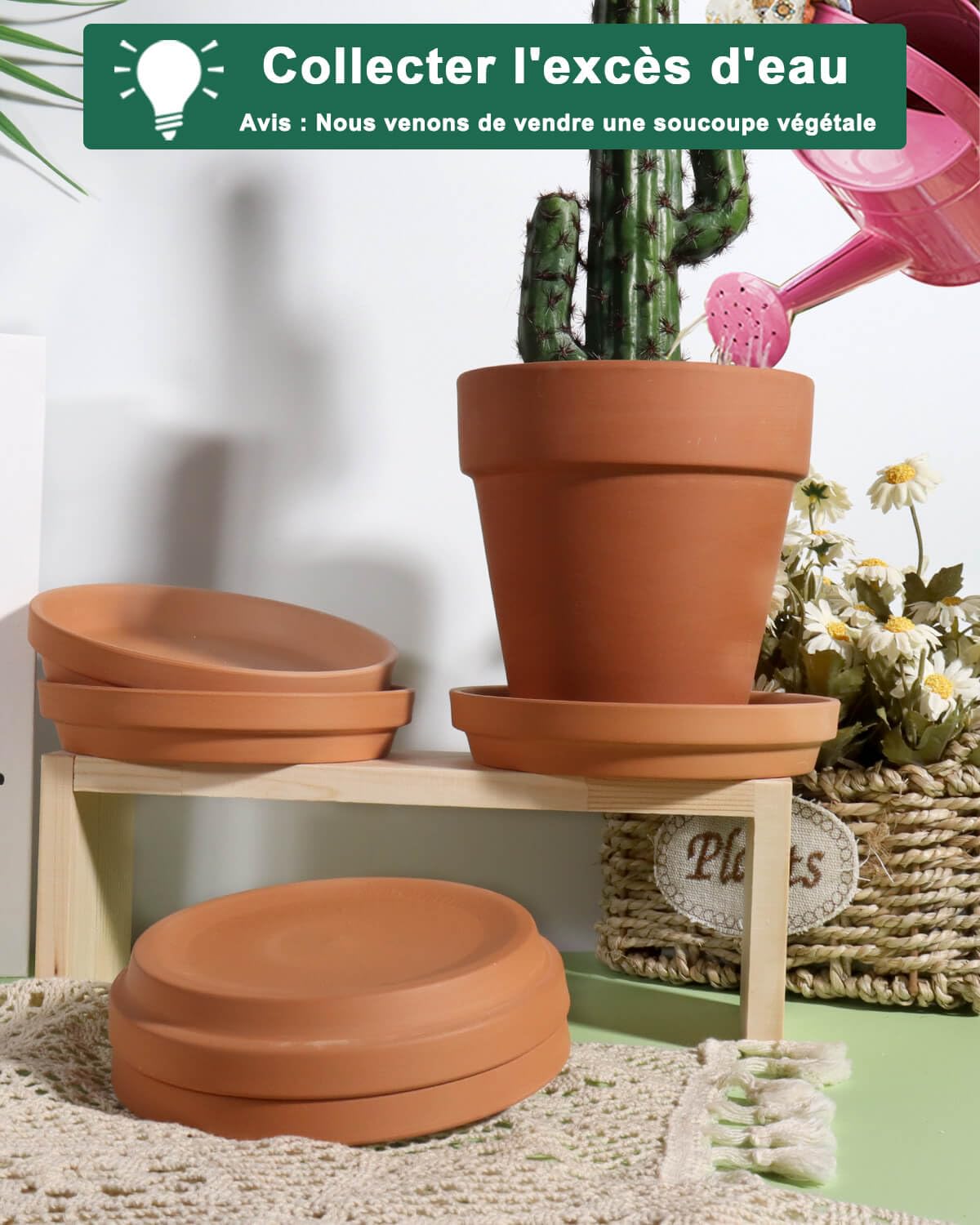 vensovo Lot de 6 petites soucoupes pour pot de fleurs en terre cuite de 12,7 cm, plateaux de fleurs en argile parfaits pour pot de fleurs de 10,2 cm, 11,4 cm, 12,7 cm avec trou de drainage