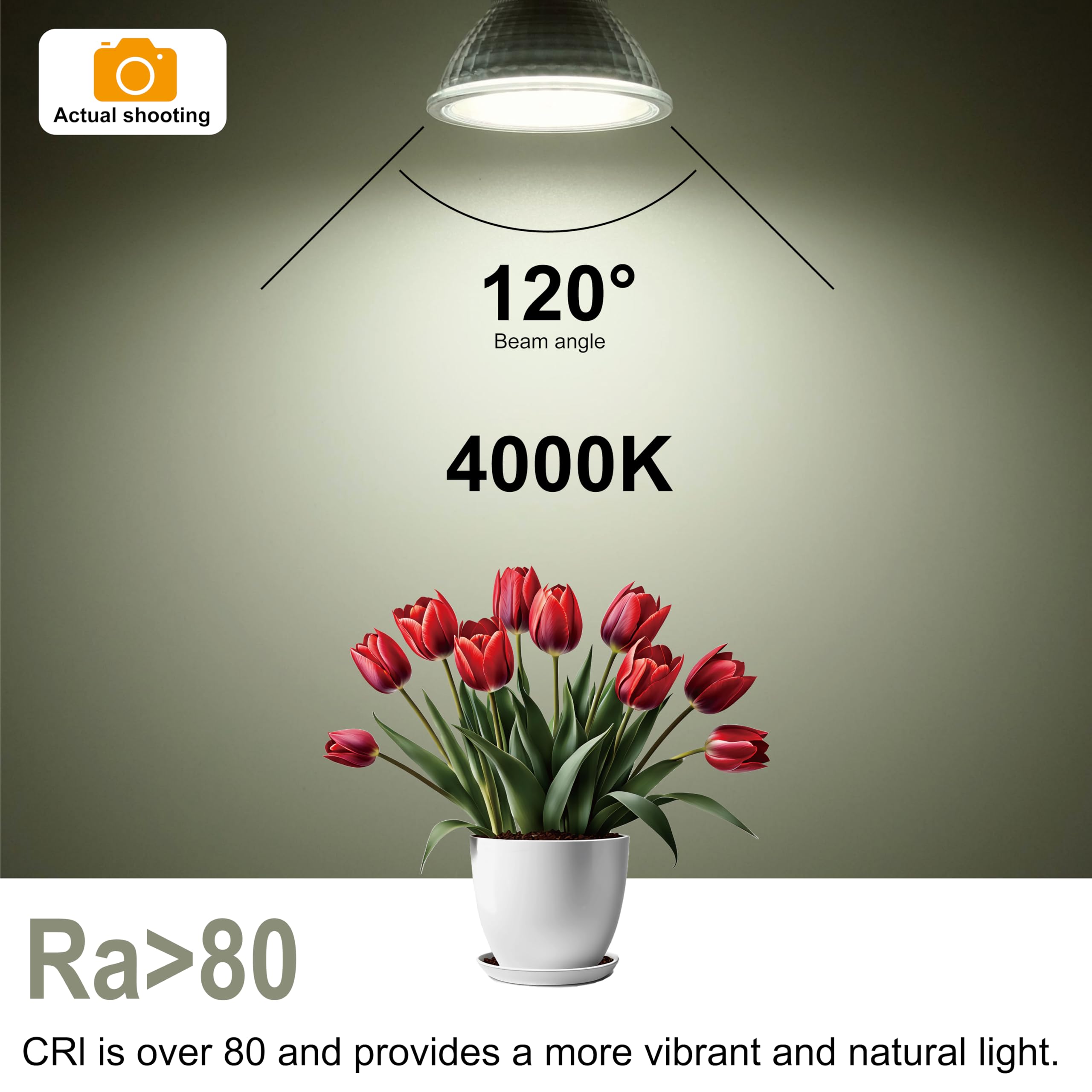 WSMCN MR16 GU5.3 LED Light Bulb 6W, Neutral White 4000K, 50W Halogen Spotlight Equivalent, Bi-Pin Base 12V 485LM - Image 4