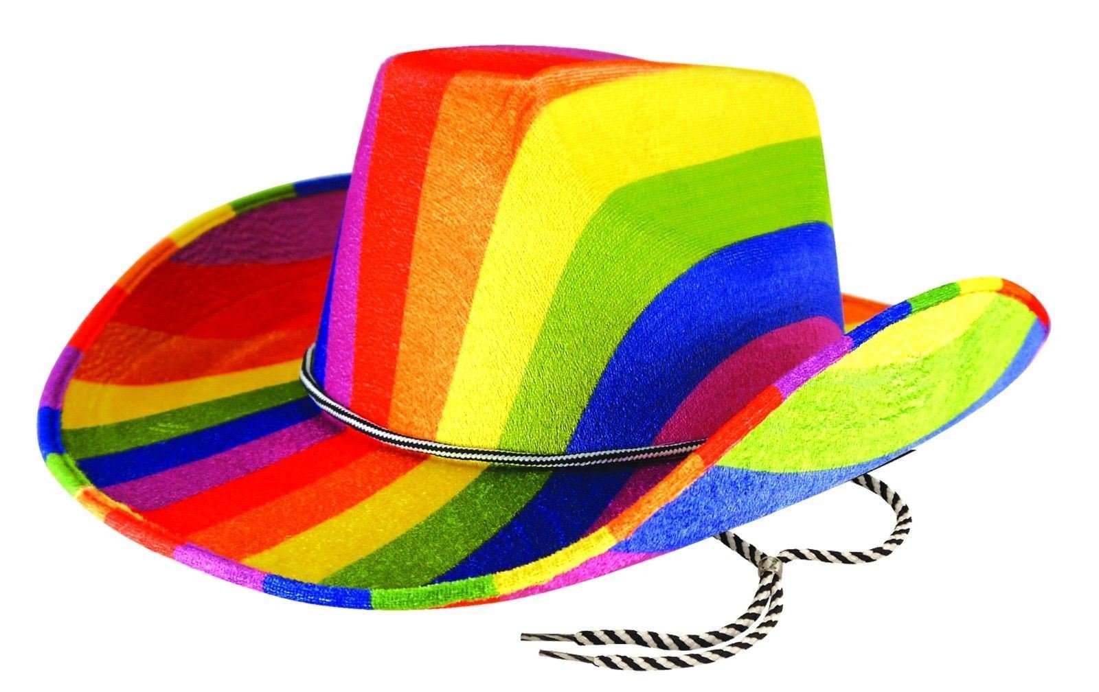 Vogueland Adults Gay Pride Carnival Cowboy Rainbow Felt Hat Fancy Dress Accessory Party (one size, Hat Cowboy Rainbow Felt Adult)
