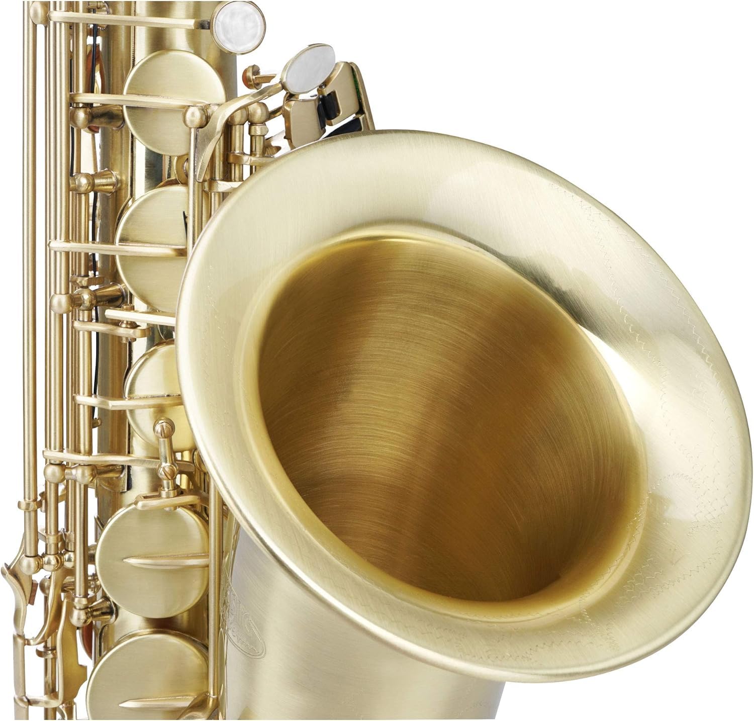 Sassofono contralto in ottone per principianti e intermedi con bocchino, custodia per il trasporto, panno per la pulizia, spazzola e cinghie, perfetto per studenti di musica