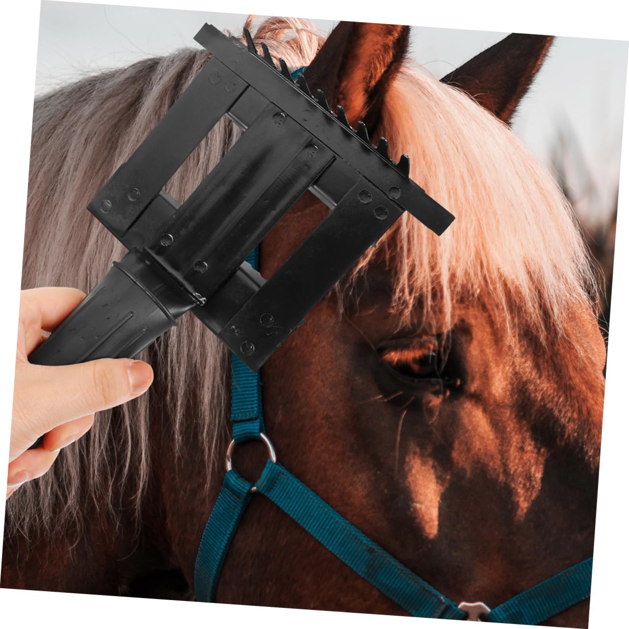 2piezas Cepillo Para Limpiar Pelo De Caballo Accesorio Limpieza Mango Ergonómico Práctico y Fácil De Usar
