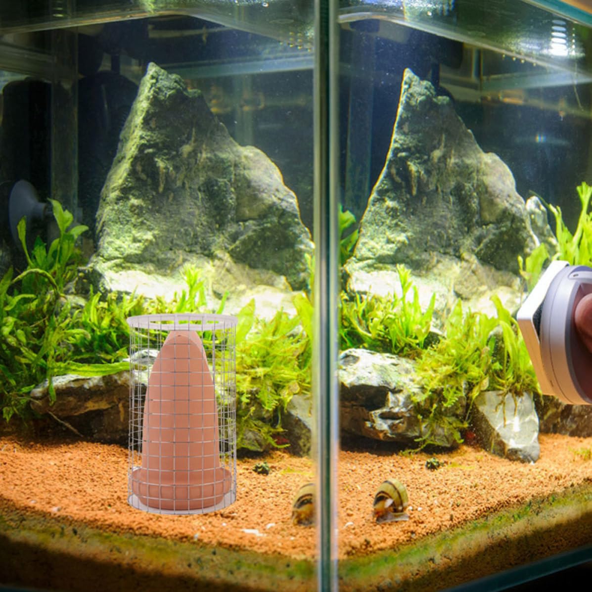 Conos de Cría para Peces Disco y Camarones, Cerámica Tapa y Red Protectora, Adecuado para Acuarios de Tamaño Medio y Cría Controlada