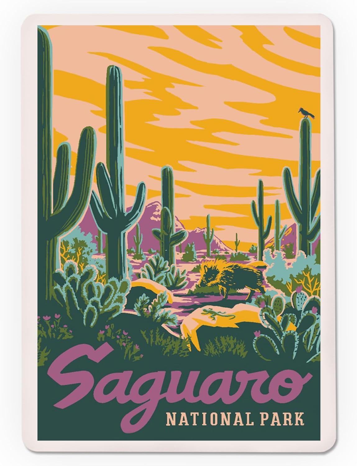 Lantern Press Saguaro National Park, Arizona, Explorer Series, Saguaro, 52 Playing Cards for Adults, Poker Size Card Deck