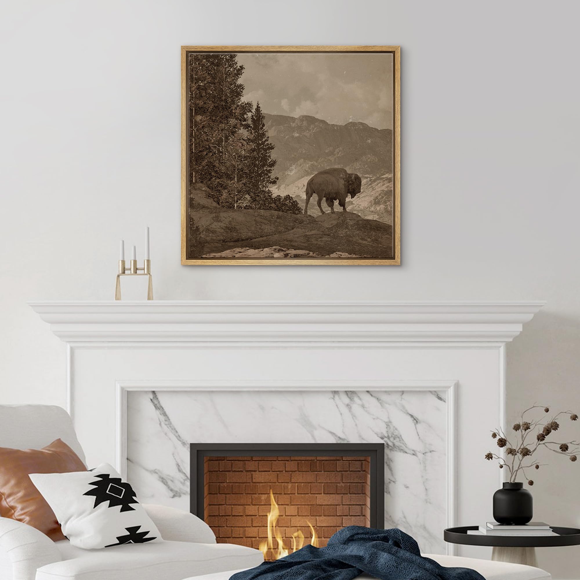 Amazon.com: SIGNFORD Framed Canvas Print Wall Art Vintage Buffalo