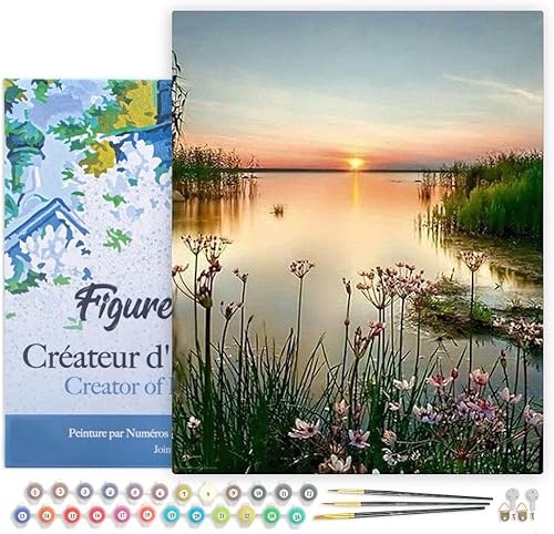 Figured'Art Pintura por números para adultos con marco de lago pacífico de 16 x 20 pulgadas, kit de pintura artística para manualidades, lienzo ya