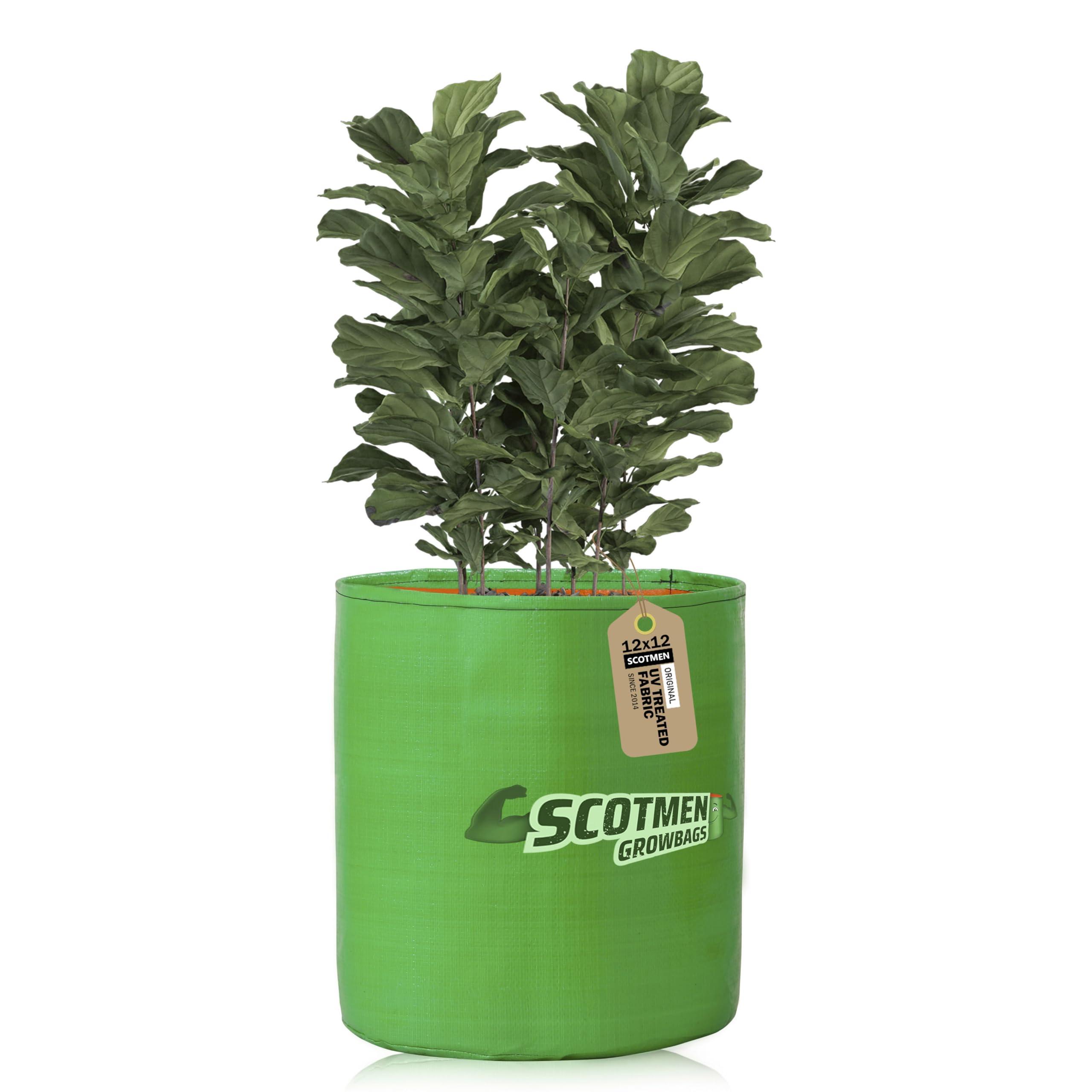 SCOTMEN HDPE UV Protected Green Grow Bags 12x12 Inch for Terrace Home Vegetable Gardening Plant Growing Plastic Bag (B0D8WGSTMK) Amazon Price History, Amazon Price Tracker