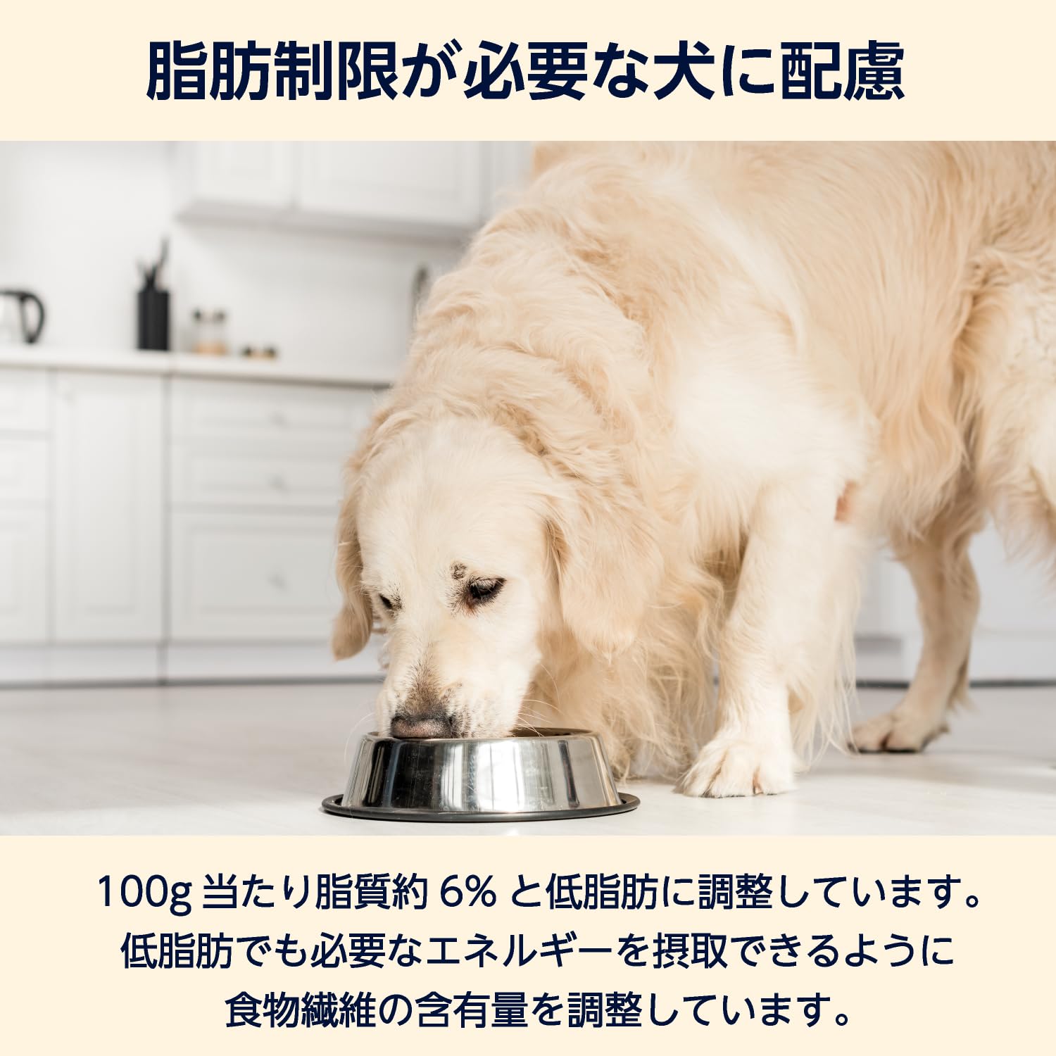 ドッグフード犬用 消化器サポート 低脂肪 小型犬用 ドライ３kg ロイヤルカナン（ROYAL CANIN） 犬 消化器サポート 低脂肪 小型犬用S