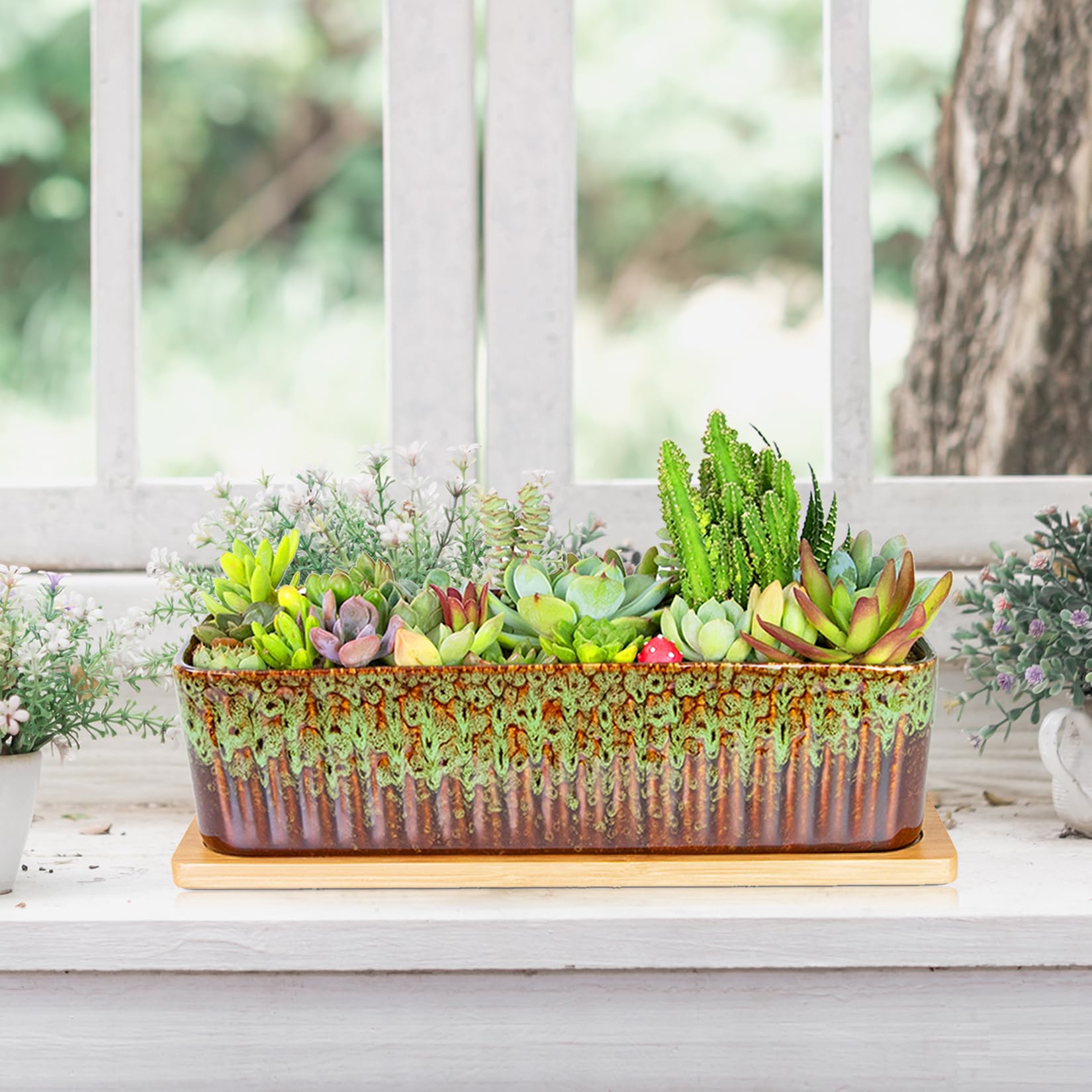 Amazon.com: Succulent Pots - 12 Inch Large Succulent Planters with Drainage  Tray, Window Sill Planter, Long Rectangle Ceramic Pots for Indoor Cactus  Plants Shallow Bonsai Window Box for Home Garden Decor :