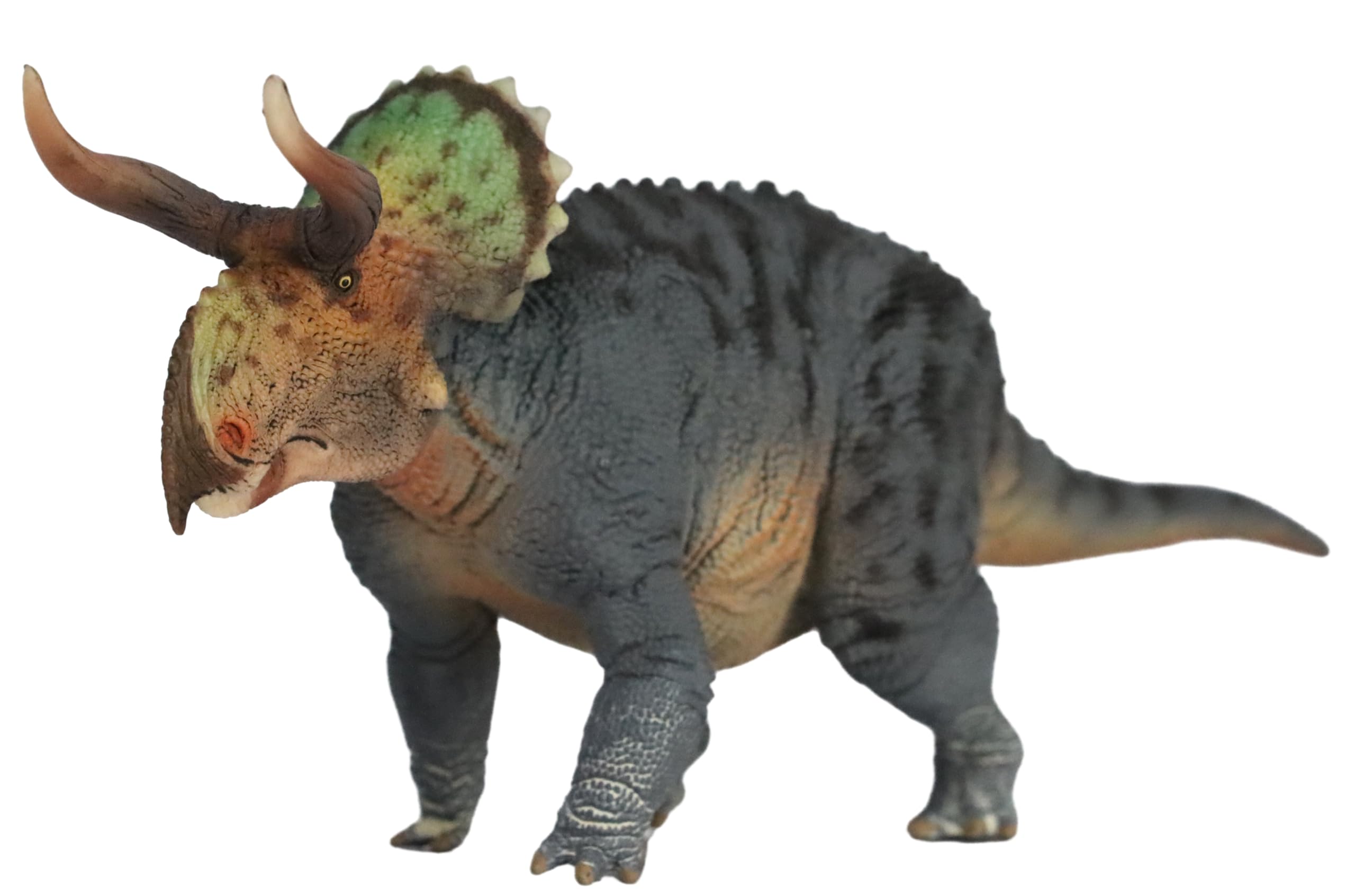 Amazon.com: WLNTDOLA 1:35 Scale Nasutoceratops Figure PVC Animal