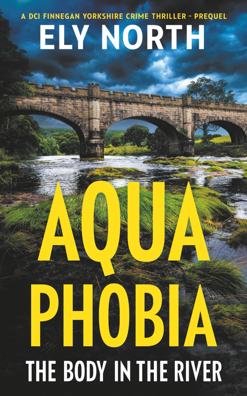 Aqua Phobia: The Body In The River: A DCI Finnegan Yorkshire Crime Thriller - Prequel