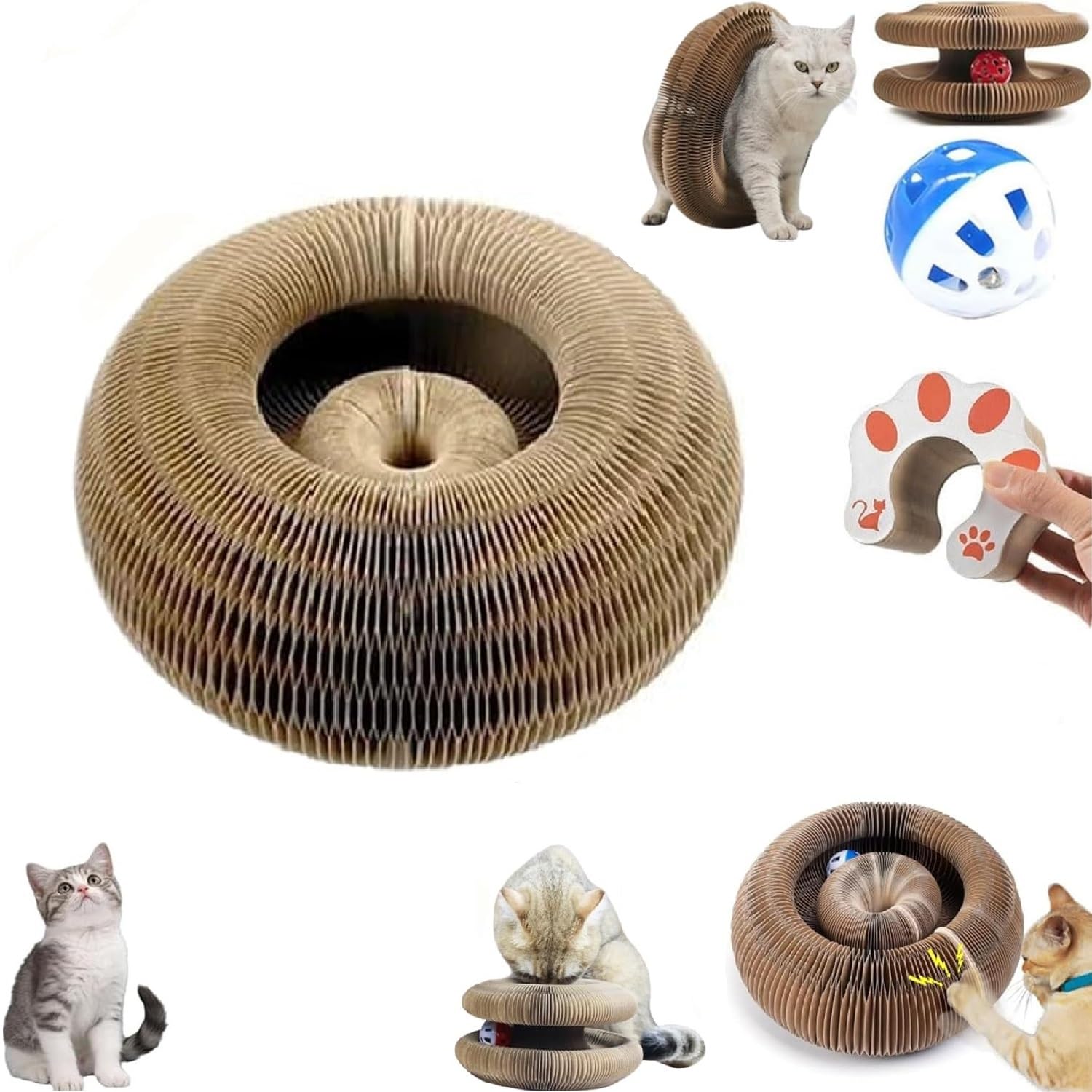 Amazon.com: Kitty Kurlz, Kitty Kurlz Cat Toy, Cat Accordion