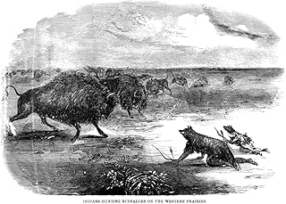 Catlin Buffalo Hunt Nwood Engraving 1851 After The Painting By George Catlin Poster Print by (18 x 24)