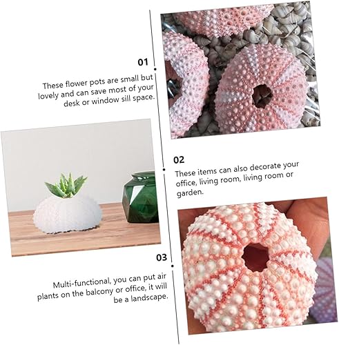 Miniatura 7 de NOLITOY Estante para plantas de concha de erizo de mar, 12 unidades, mini macetas, decoración del mar, boda, piña, soporte para plantas de aire,