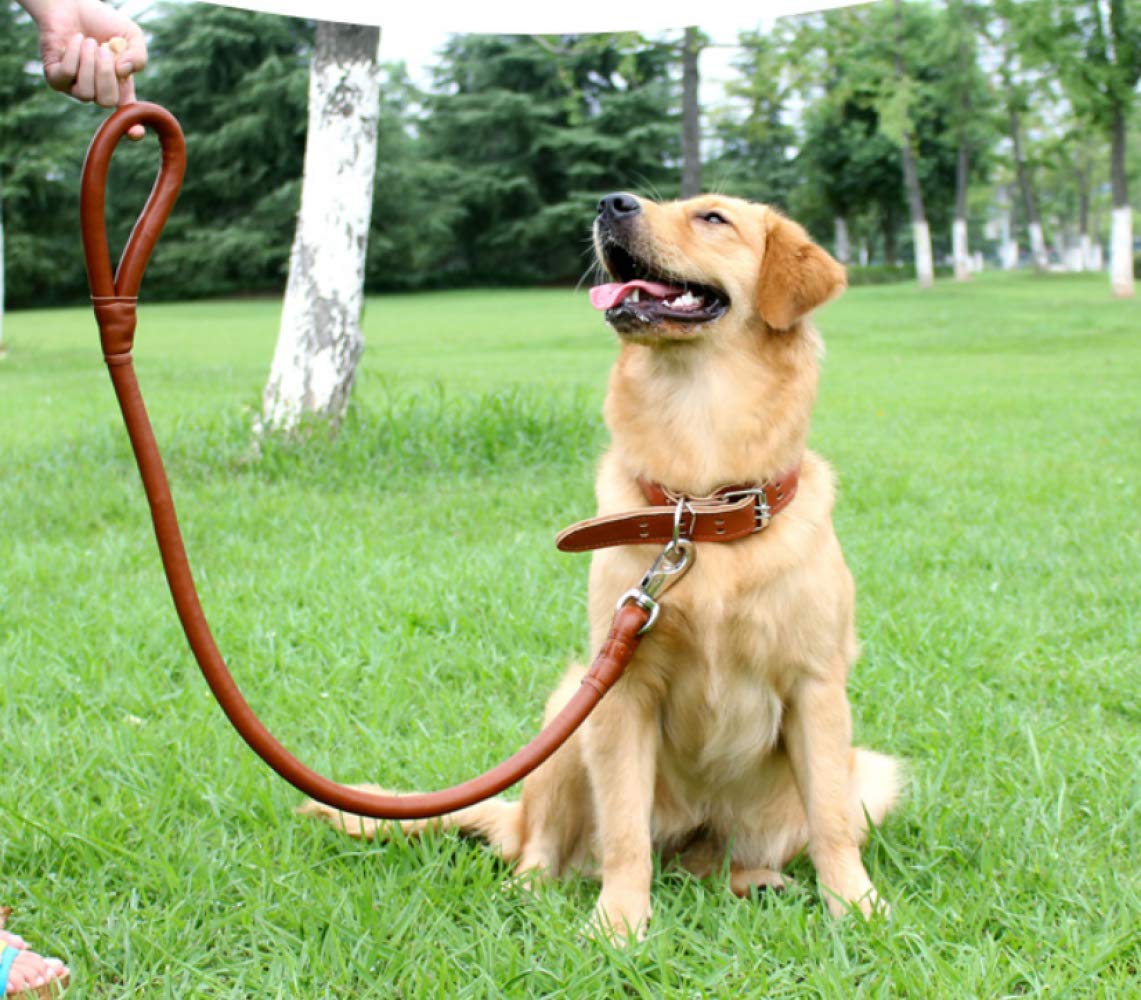 Correa para Mascotas Cuerda De Tracción para Mascotas para Perros De Tamaño Mediano con Collar, Cadena para Perros, Cuero, Cuerda para Perros, Paseo para Perros, Cuerda para Perros,
