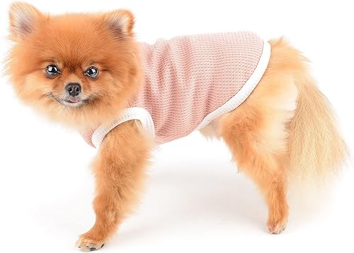 Miniatura 2 de SMALLLEE_LUCKY_STORE Linda camiseta de punto gofre con oso para cachorros, para perros pequeños y medianos, gatos, niños y niñas, camiseta elástica