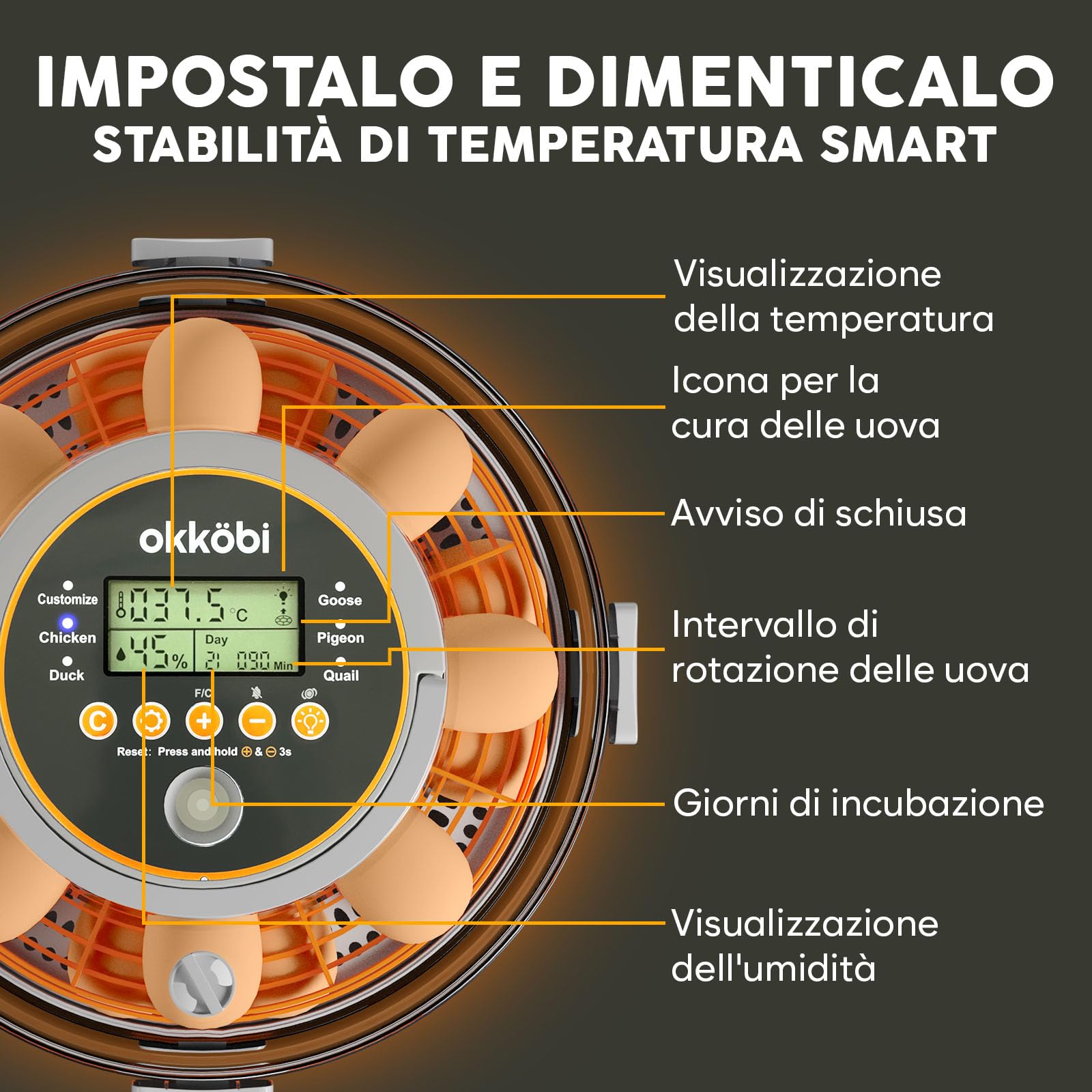 Incubatrice per uova automatica Okköbi – Incubatrice per 12 o 20 uova gallina – Controllo automatico temperatura e umidità – Gira uova – Luce per test uova – Facile da usare