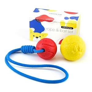 Dog Toy Set 3in Fetch Ball 2 5in Ball-on-Rope Durable E-TPU Material High Bounce Eye-Catching Colors Lightweight Floatable