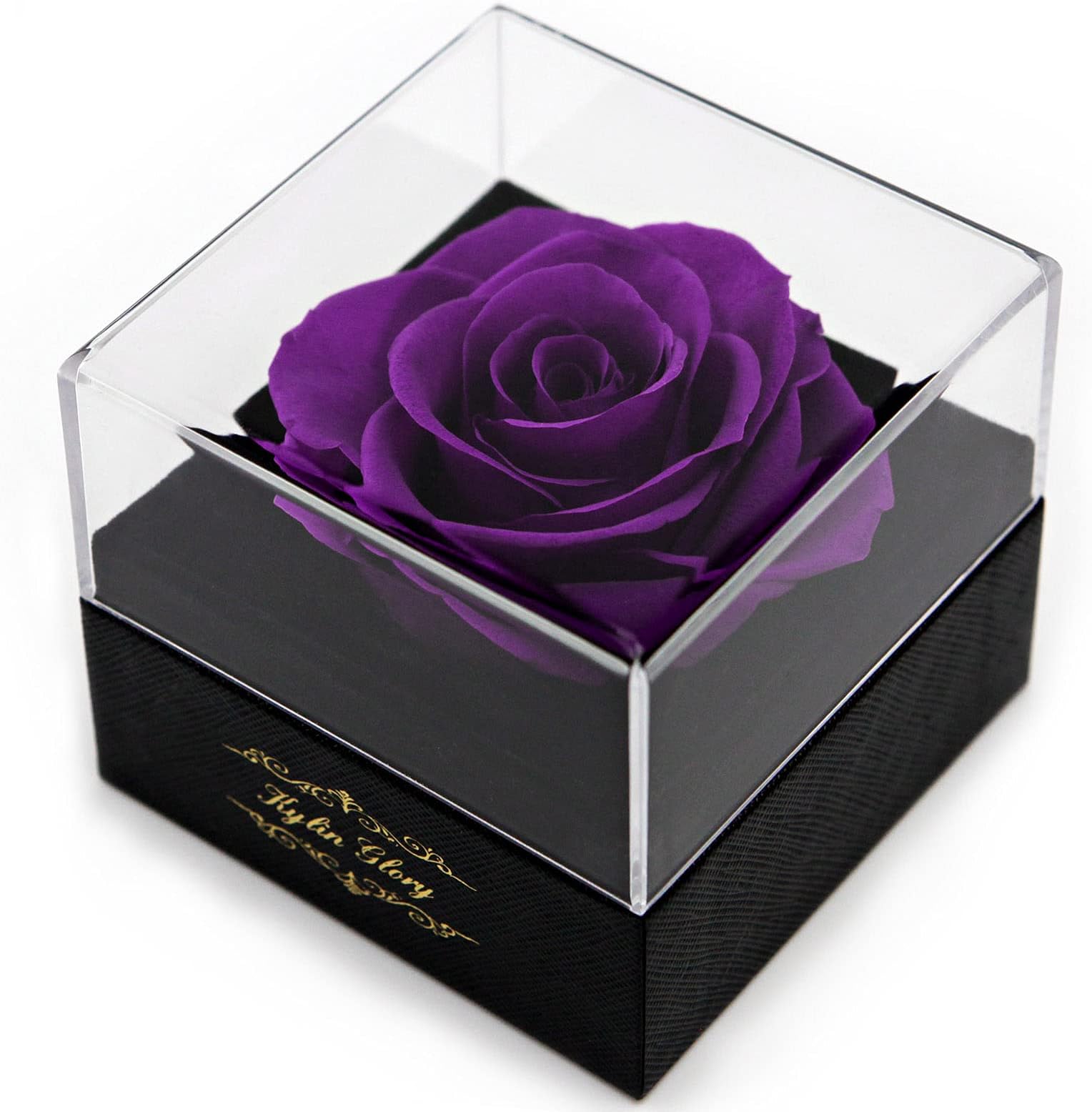 Kylin Glory Fresh Cut Flower Preserved Rose for Women Mom Wife Girlfriend - Flower Gift Real Rose Decor for Mother's Day Valentine's Day Wedding Party Celebration Birthday Anniversary (Purple)