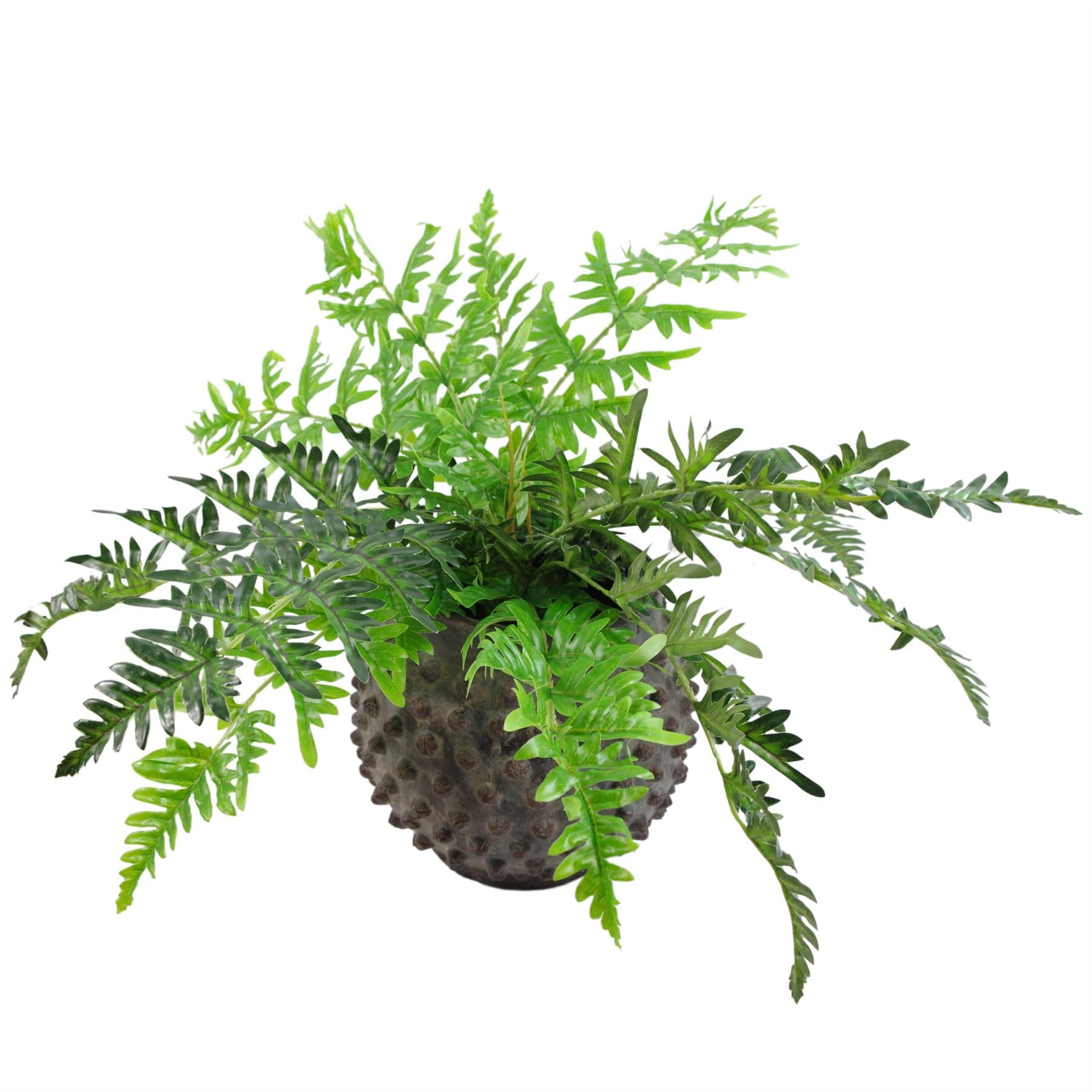 Botanik Premium Artificial Fern Grass