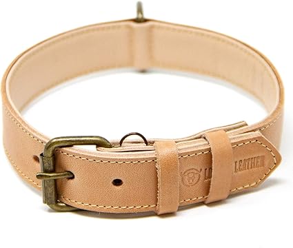 best dog collars amazon
