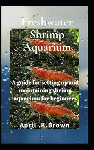 Freshwater Shrimp Aquarium A guide for setting up and maintaining shrimp aquarium for beginners