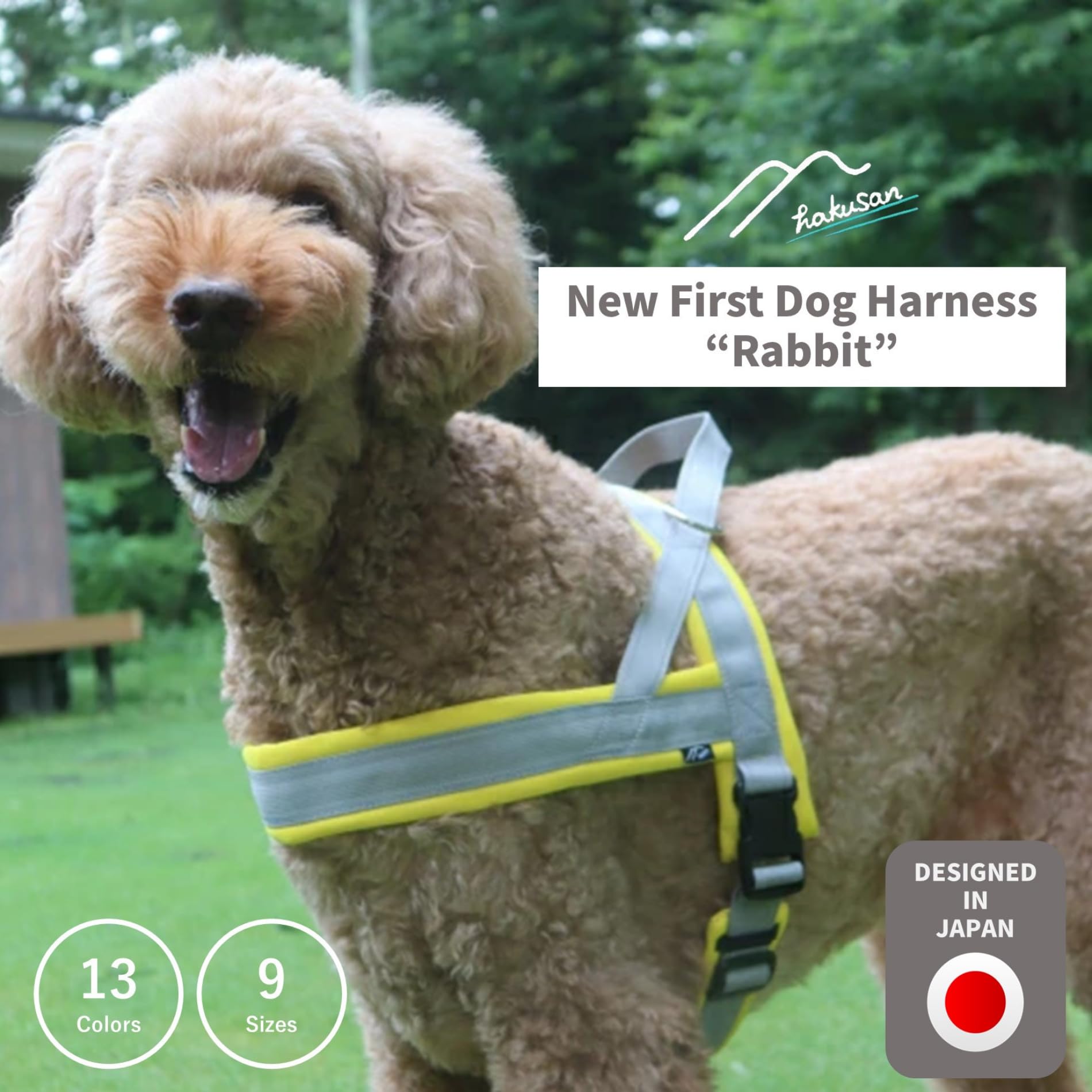 ?Hakusan? New First Dog Harness “Rabbit”,Reflective Stitch,Padded, YKK Buckles, 13 Colors, 9 Sizes,Japanese Brand,(Turquoise×Dog Pattern, 00)