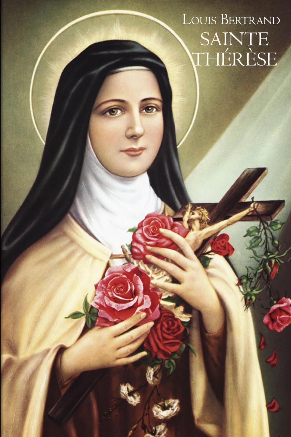 Sainte Thérèse: Vie et spiritualité d’une grande figure religieuse — Biographie classique de Louis Bertrand