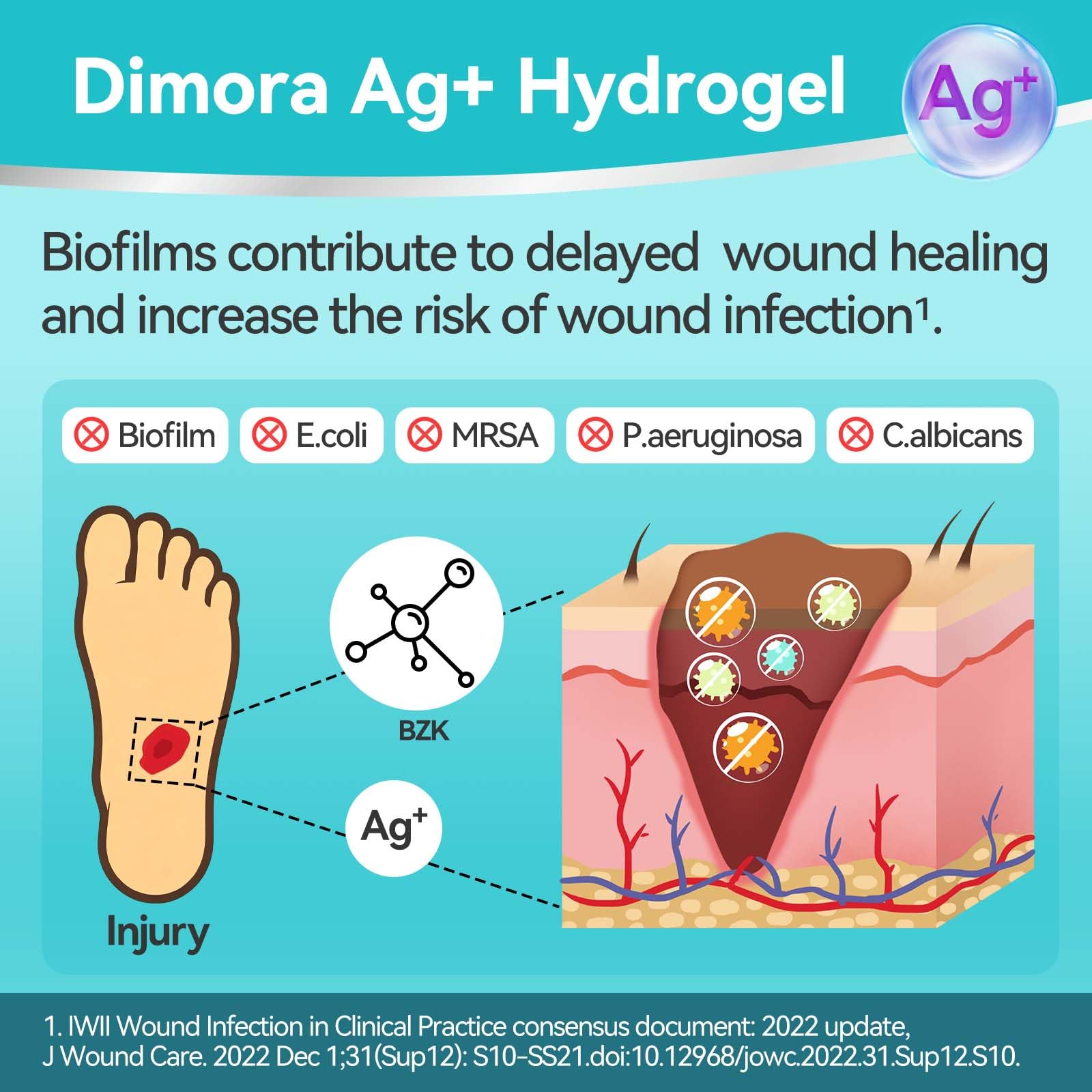 Dimora Silver Hydrogel Gel Wound Dressing-3 Packs 3oz (28gx3), Silver Hydrogel First Aid Ointment for Soothing & Wound Healing, Silver Hydrogel Care for Minor Abrasions, Cuts, Lacerations and Scalds. — Amazon image 4