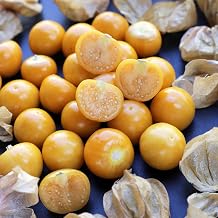 Eden Brothers Tomatillo Seeds - Pineapple