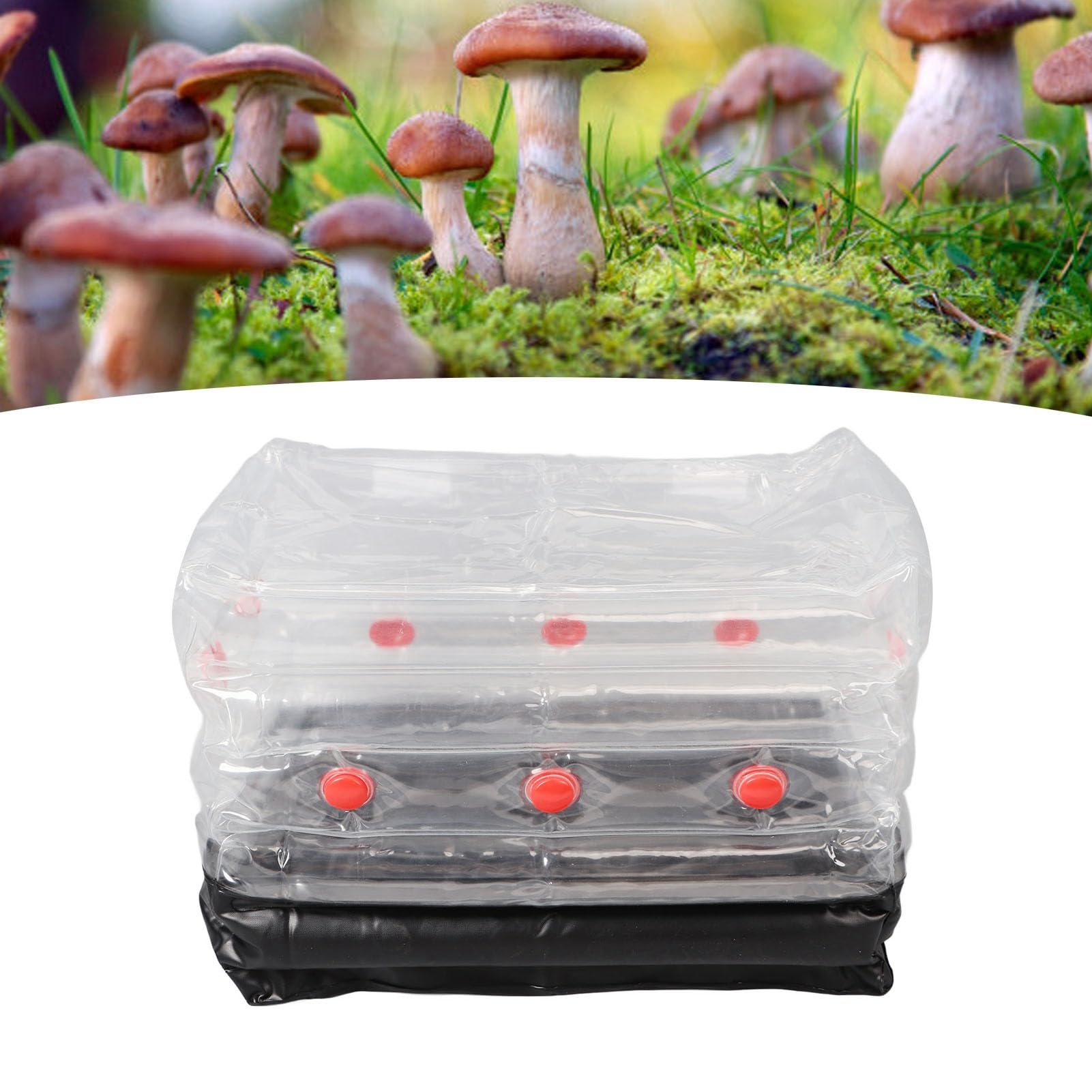Mxzzand Kit Monotub Champignon for Durable Carré Pratique Petit Kit Monotub Champignon Gonflable Conception De Trou De Vidange pour La Plantation De Champignons