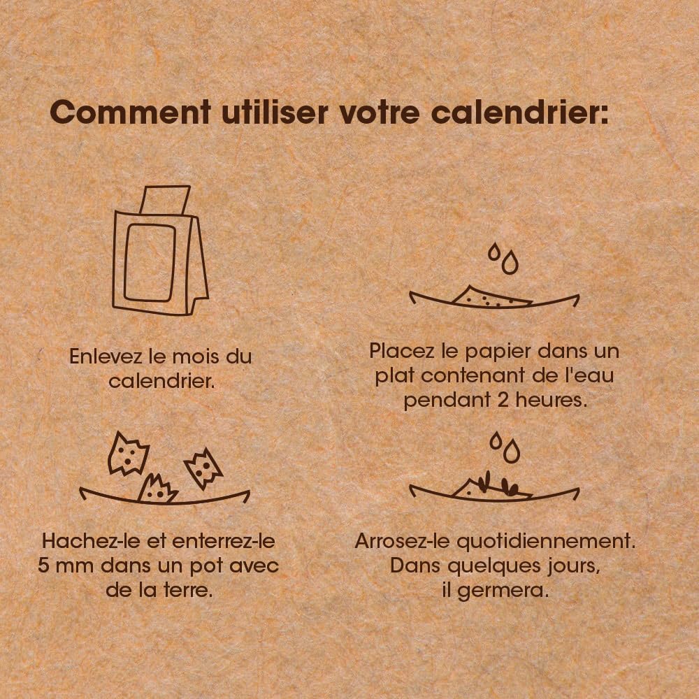 Plantable Calendar 2025, Kraft - Image 3