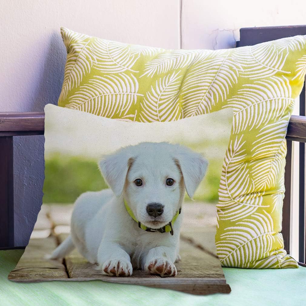 Style In Print Throw Pillow Covers Custom Personalized Photo & Text Polyester Home Decor Pillow Cases White Cover Only
