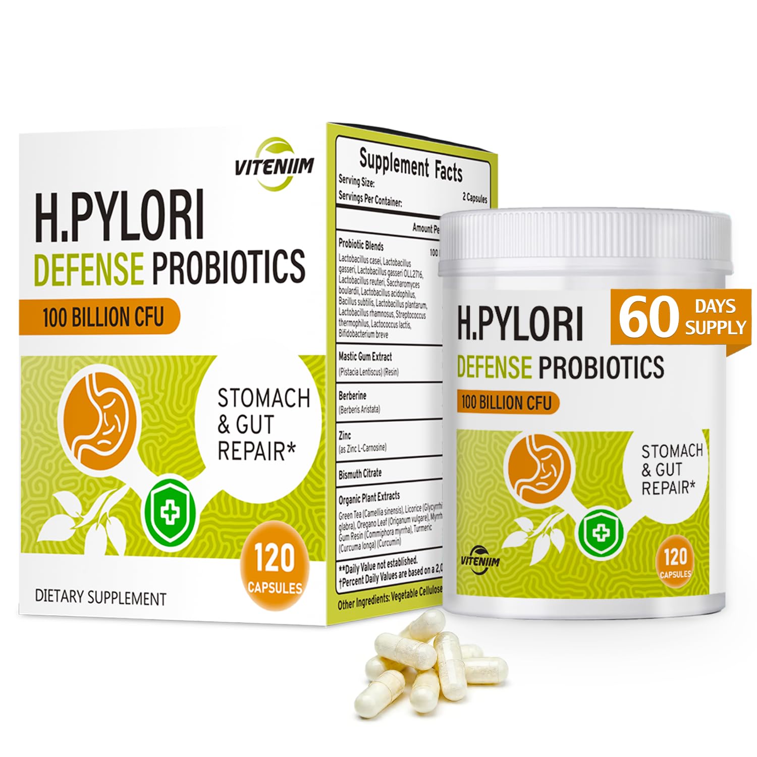 Helicobacter Pylori Defense Probiotics – Formulated with Lactobacillus reuteri, Mastic Gum, and Berberine, 100 Billion CFU, Gastritis, Digestion & Gut Health for Stomach Comfort, Vegan, 120 Capsules.
