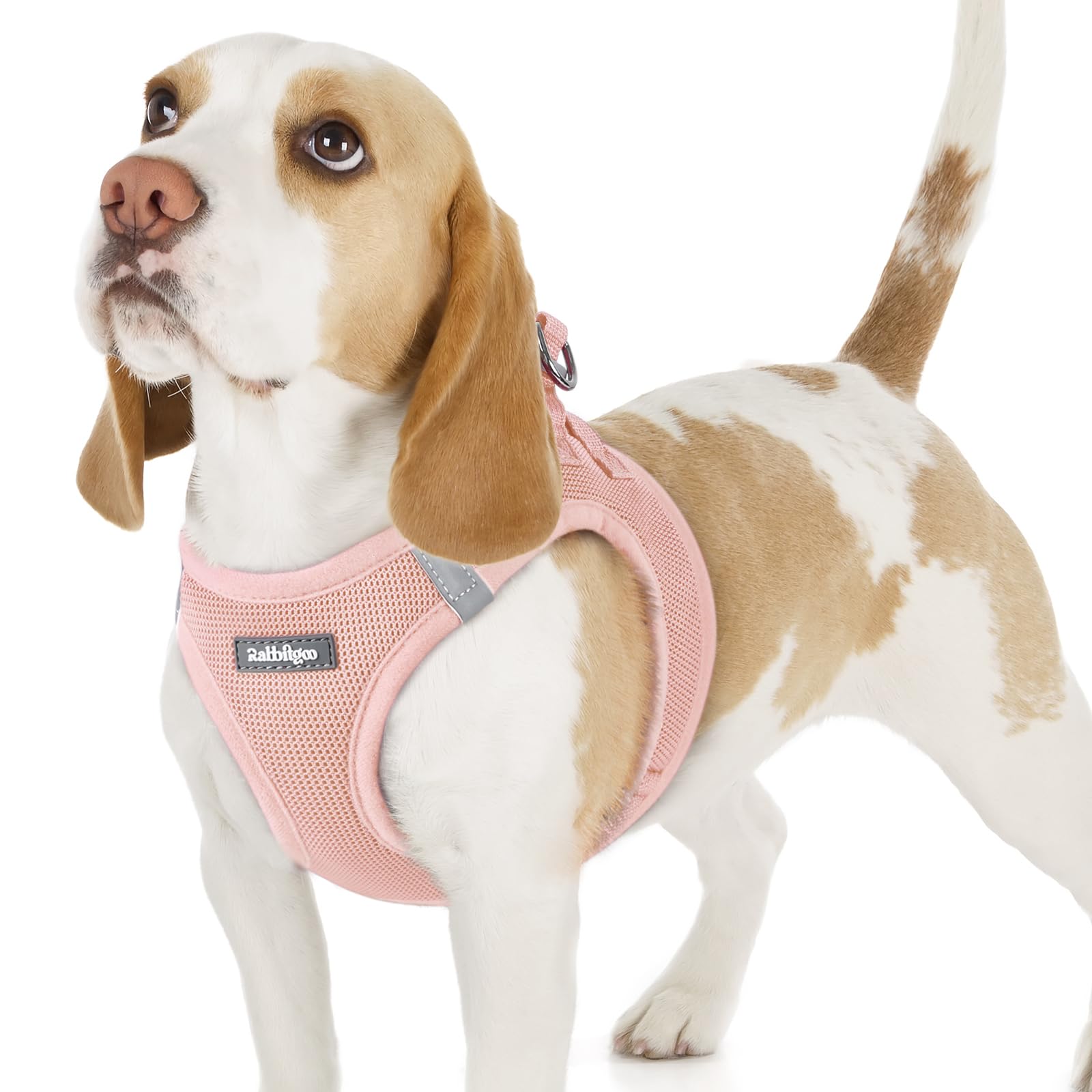 rabbitgoo Hundegeschirr kleine Hunde, Step-in Soft Mesh Hundegeschirr mit Sicherheitsverschluss, atmungsaktives und reflektierendes Welpengeschirr für kleine Hunde