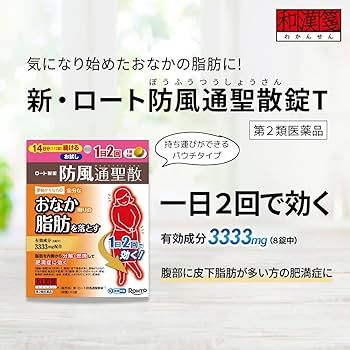 防風通聖散エクササイズチューブ 防風通聖散エクササイズチューブ