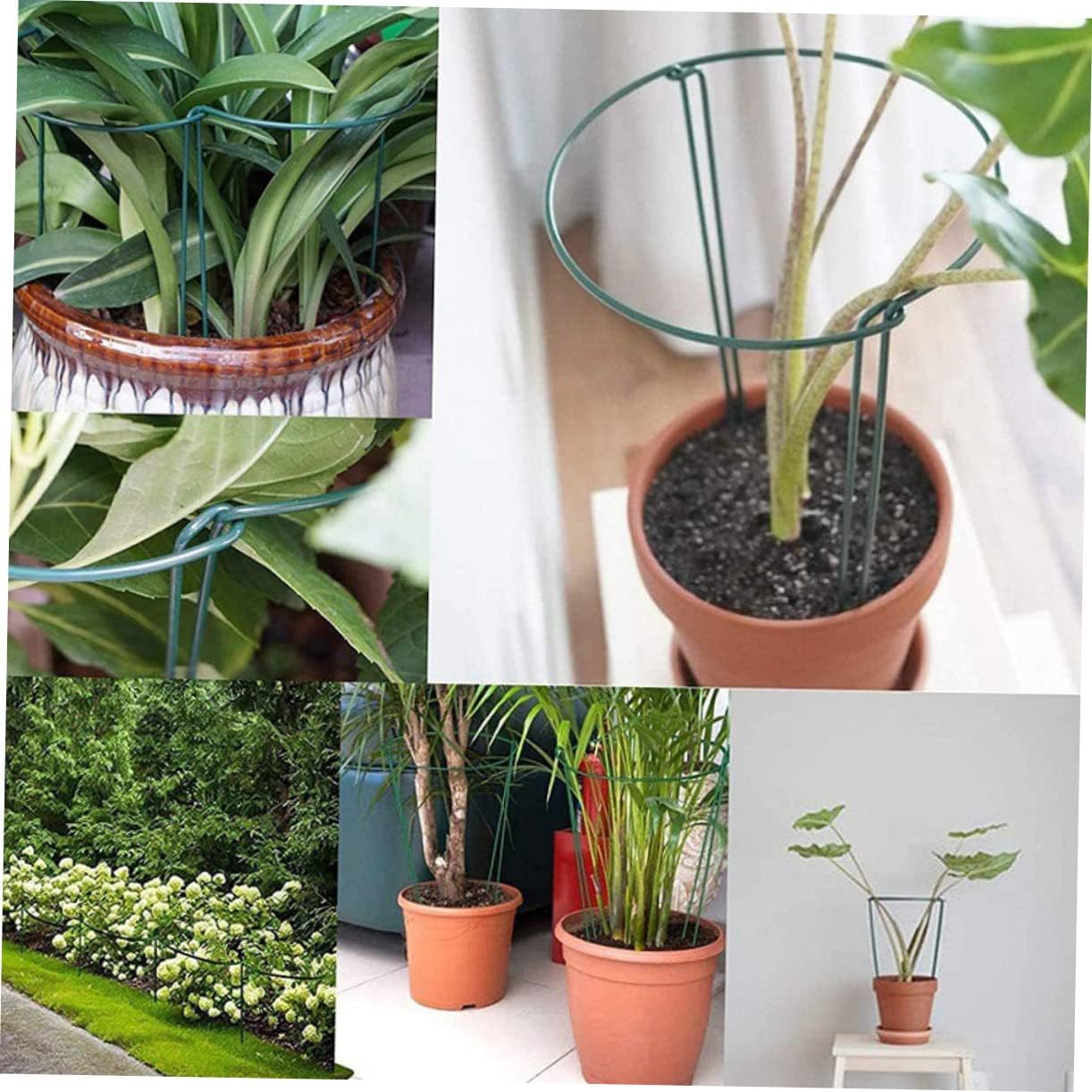 6Pcs Half Round Plant Support Stands Durable Iron Racks for Climbing Plants for Orchids and Roses for Garden Use