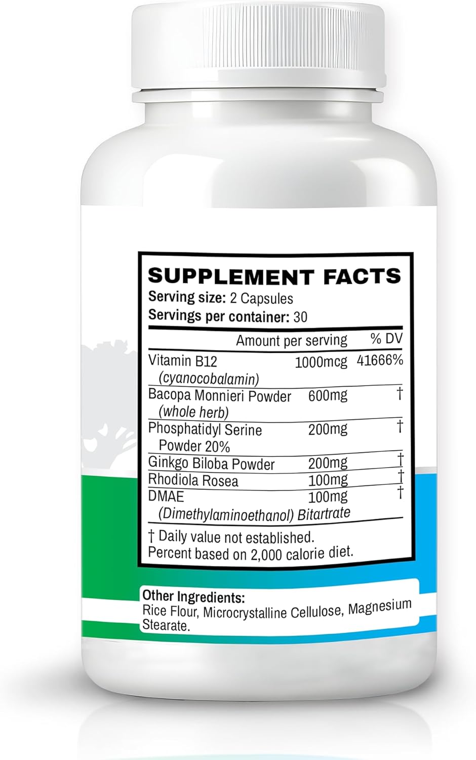 Memory Muscle – Advanced Nootropic Brain Supplement with Vitamin B12, Bacopa Monnieri & DMAE for Focus, Memory, Mental Clarity & Clean Energy – Premium Cognitive Support Formula