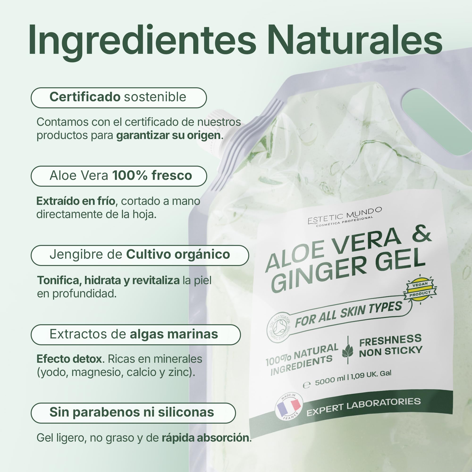Gel de Aloe Vera & Jengibre – Hidratante y Reafirmante Natural – Con Aloe Fresco Ecológico de España – Uso Facial, Corporal y Capilar – Post-Solar, Piernas Cansadas, After Shave 1000 ml