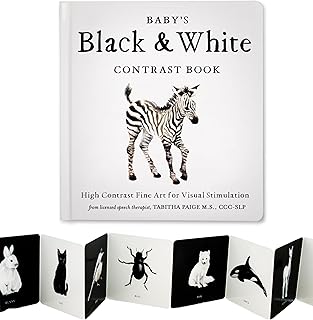 Black And White Books For Babies Picks collage image 4
