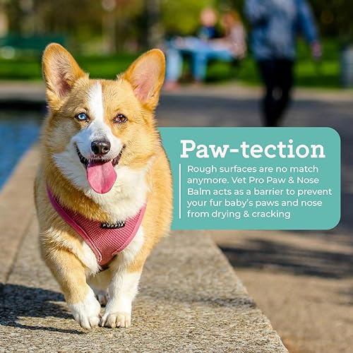 Miniatura 5 de VetPro Complete Bálsamo para patas para perros y gatos, 2 onzas, protección natural y chupete para almohadillas secas y narices, crema para pies