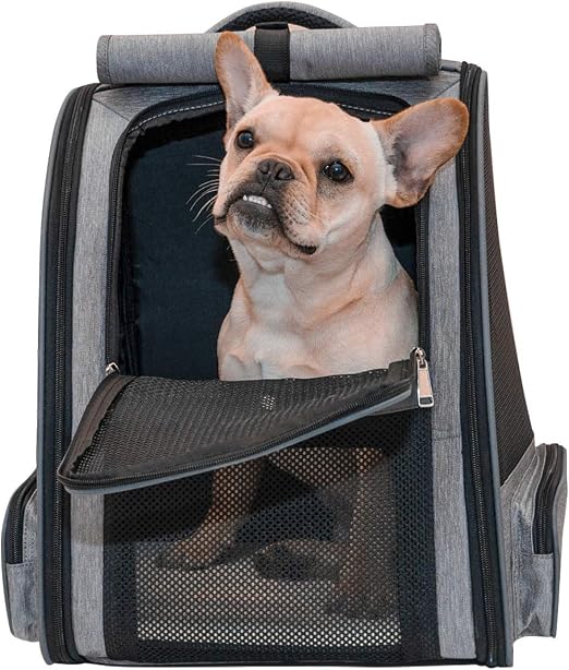 Amazon.com: Scurrty Pet Carrier Mochila para gatos y perros malla  transpirable | Transportín para perros | Diseño de ventilación de viaje  transpirable perro Carrier Mochila, Pet Carrying senderismo viajes Camping  Mochila :