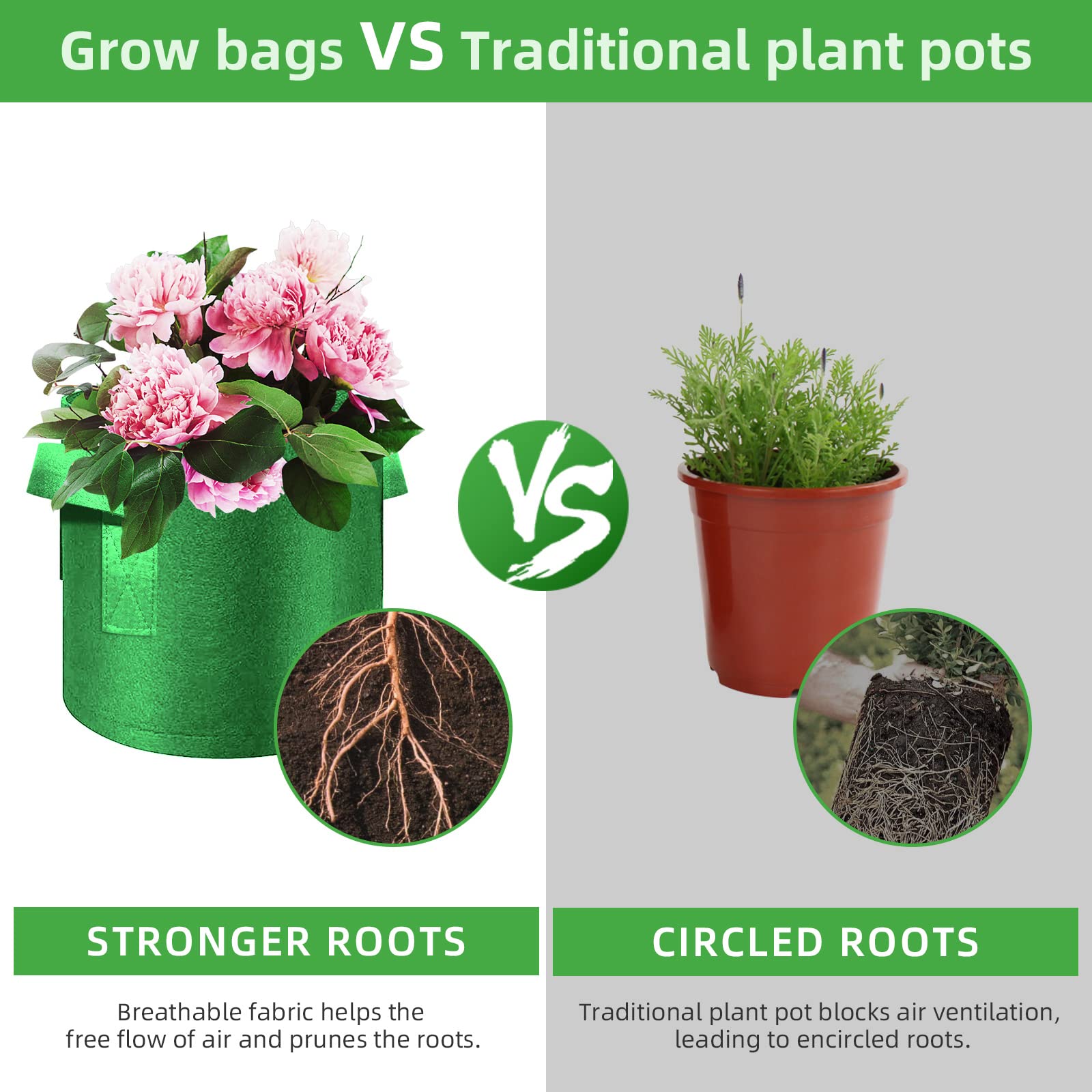View 4