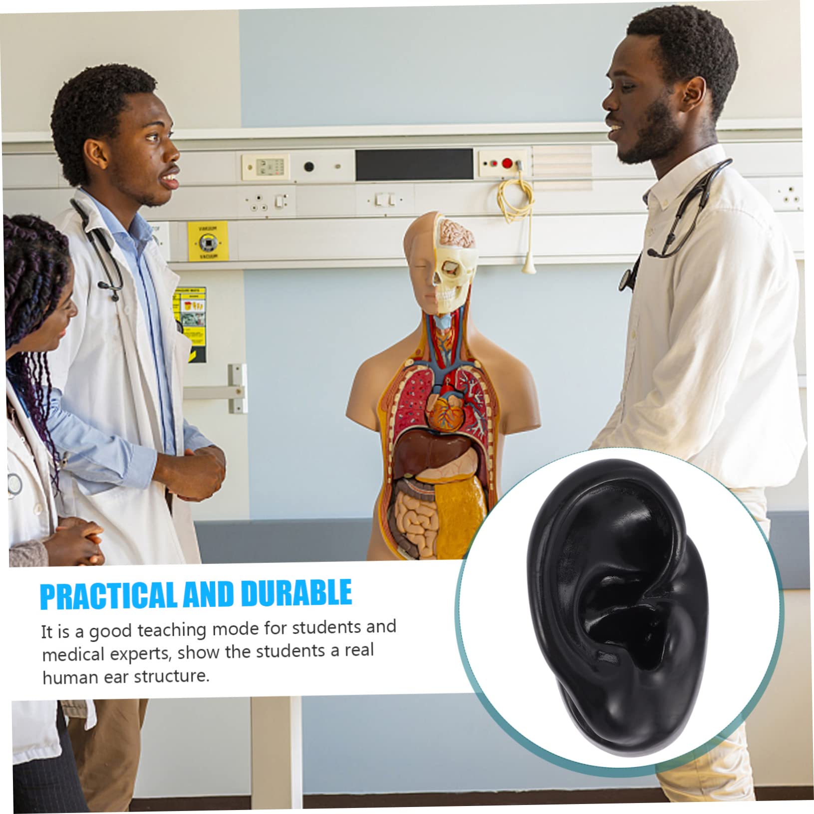 VILLCASE 5pcs Wide Uses Ear Model Jewelry Ear Piercing Studs School Clinic Tool Realistic Silicone